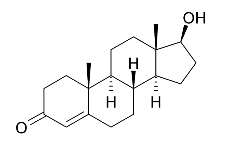 High Androgen Levels - HealthBuddha
